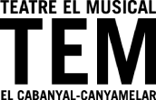 logo TEM